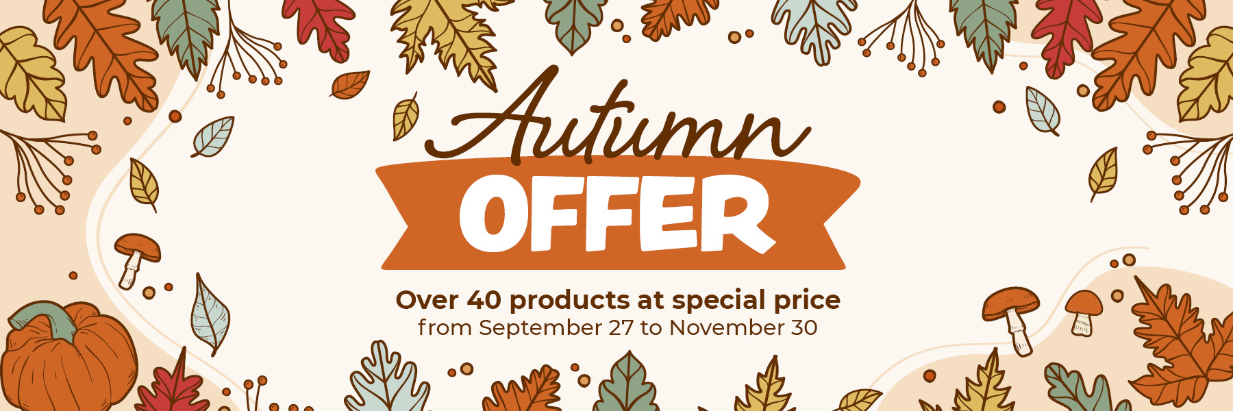 Autumn Offers